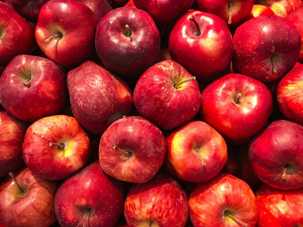 Crate of freshly picked red apples