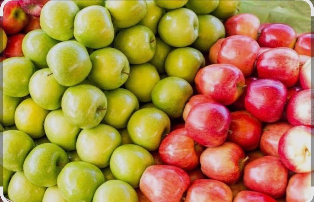 Green and red apples after sorting