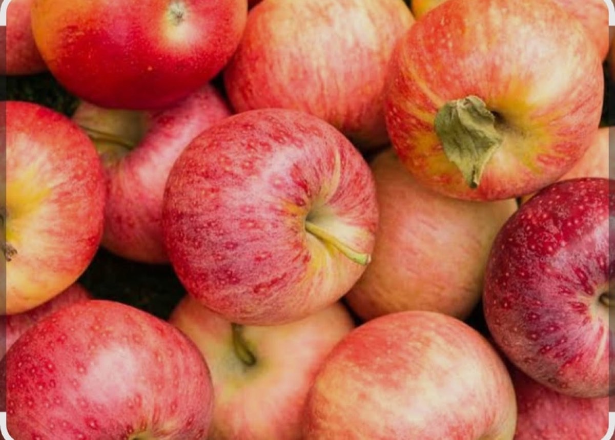 Red Georgian apples