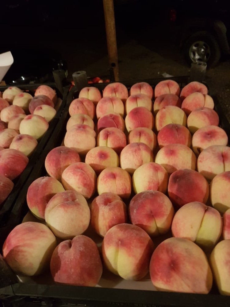 Trays of nectarines graded by size