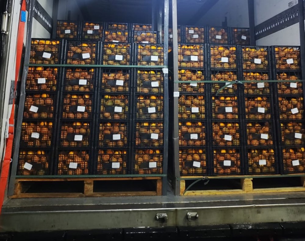 Pallets of fruit loaded into a refrigerated truck